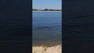 Судоходный форватер.ОстровКрымскиеПески.