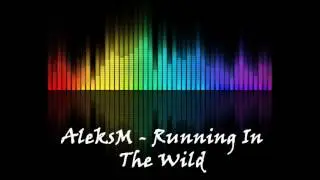 AleksM - Running in the Wild