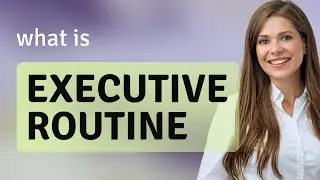 Executive routine — EXECUTIVE ROUTINE meaning