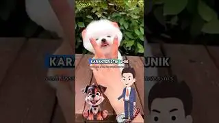 Hewan Ini Paling Setia 