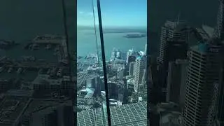 Окленд с высоты телебашни Sky Tower