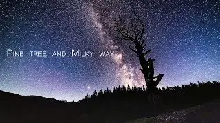 [8K UHD] Time Lapse - Pine tree and Milky Way (소나무와 은하수 타임랩스)
