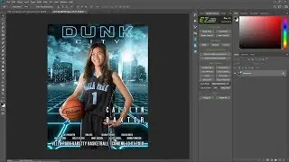 Pixnub Sports Plugins Overview