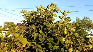 После праздника, . Приглашаем на следующие посиделки.