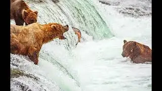Incredible nature around the world