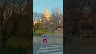 Best Shots from Washington DC Virtual Tour - Onewheel Ride in the Capital of USA - #Short 2
