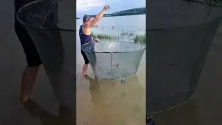Малевница мечта рыболова