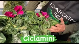 Fioriture autunnali