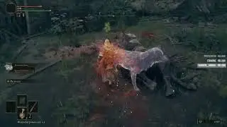 Elden Ring /part1 [blind]