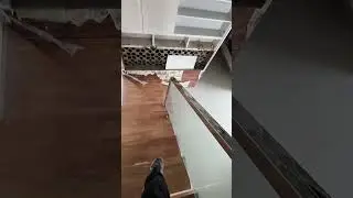 full glass stairs railing installation process #song #music #shortsfeed #railing #shortvideo