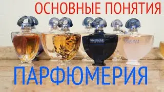 ПАРФЮМЕРНЫЙ ЛИКБЕЗ). РАСХОЖИЕ ТЕРМИНЫ). Как разобраться?