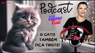 PodCast 