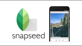 Snapseed: полный гид по одному из мощнейших фоторедакторов для Android и iOS
