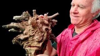 Evelí Adam  Mitologia i Natura