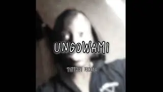 Ungowami_x_Tittboi Music