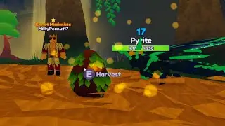 Dragon Adventures 