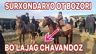 30-DEKABR OT BOZOR NARXLARI SURXONDARYO SARIOSIYO OT BOZORI OXIRGI BOZOR?