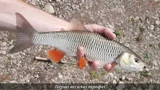 Рибальський сезон 2020 року. Найбільш пам'ятні моменти та трофеї!