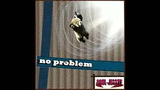 Paul Jesste - No Problem