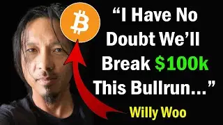 I Have No Doubt We'll Break $100k This Bitcoin Bullrun Says Willy Woo -  Leading On-chain Analyst.