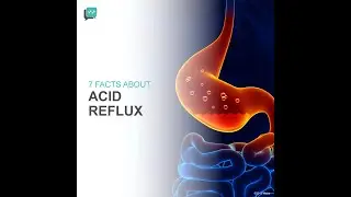 7 Facts About Acid Reflux