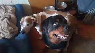 вполне удобно)
