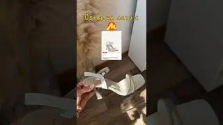 Как вам подборка?