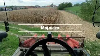 Žetva kukuruza 9.9.2022 g. Claas Avero 240