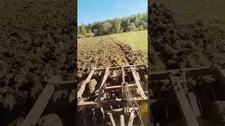 БДТ
