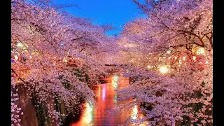 ASPARAGUSproject feat. Leana Mask - Big in Japan (by Alphaville)