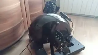 Рассеянный склероз и диета Эмбри