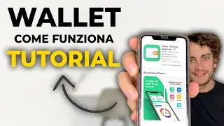 PERSONAL FINANCE TUTORIAL | How WALLET by BUDGETBAKERS Works