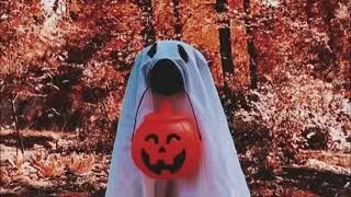 Sleepy Soul - Scary Movies but it's a warm Halloween night