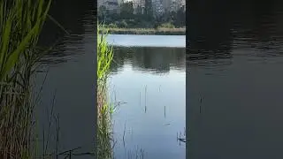 Така рыбалка Кривой Рог