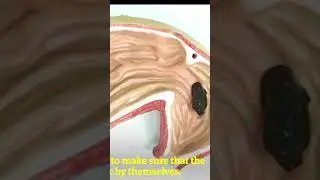 Ye Kaisa Robot hai ?? 
