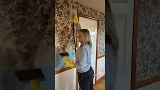 Follow along to watch the house transform! #life #lifestyle #2022 #vlogger #girl #vlog #shorts #diy