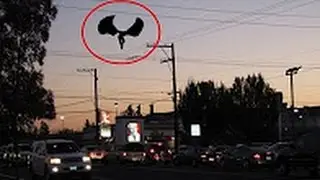 Top 10 Mysterious Creatures Caught On Camera + Names