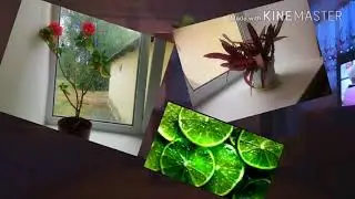 Гироскутер. КАТАЮСЬ)