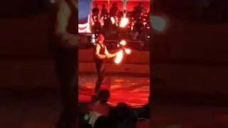 Цирк в Германии - огонь. 