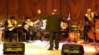 CAMERATA DE PLECTRO 