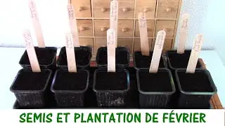 QUE SEMER ET PLANTER EN FÉVRIER ?