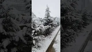 kemençe enstrümantal (ayrılamam)