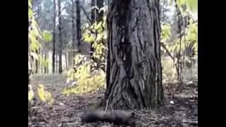 MOV072