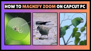 How to Magnify Zoom on CapCut PC | Capcut Pc Tutorial