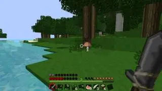 Minecraft | AMD E-350 | HD 6310 | [1080p video]