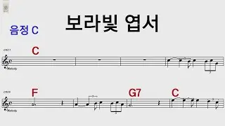 보라빛 엽서 C 미스터 트롯 임영웅 /통기타.오카리나.하모니카악보영상