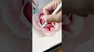 Drawing a rose 🥀 in Procreate