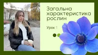 Загальна характеристика рослин. Ботаніка. Урок 1. Підготовка до ЗНО