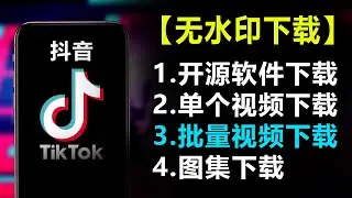 #3【开源软件】抖音无水印视频免费下载系列教程| 3.批量视频下载| 分享链接批量下载| 免费exe软件| 一键全速无水印下载| exe文件无水印下载| 命令行无水印下载| 源代码下载| TikTok