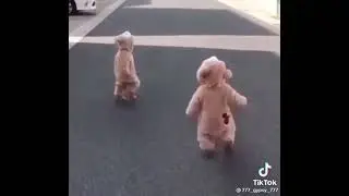 Милые собачки